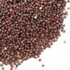 Sarso Seeds ( Mustard Seeds )