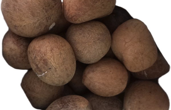 Coconut