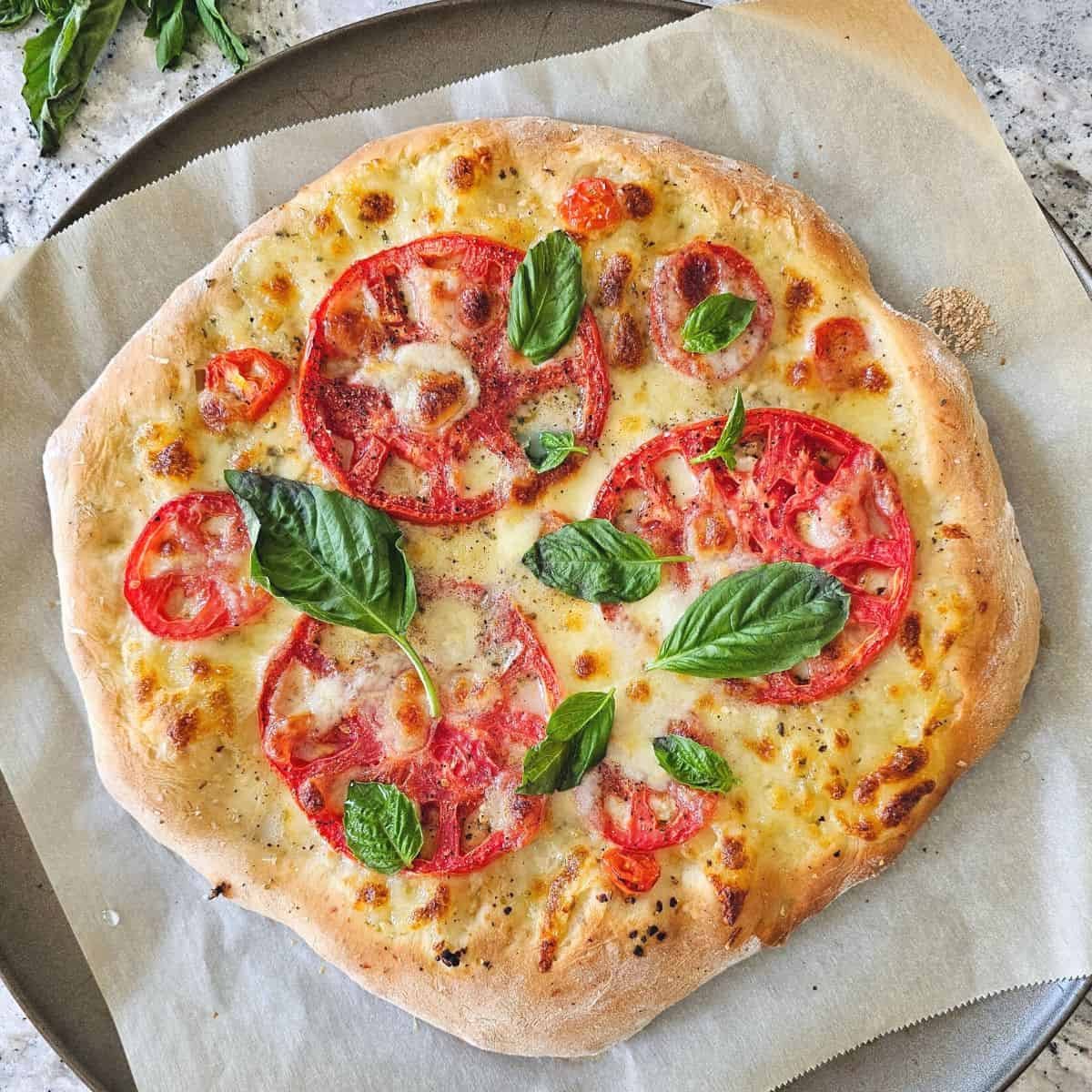 Cheese & Tomato Pizza