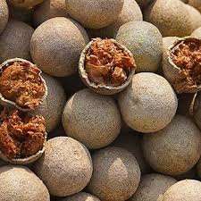 बेल (Wood Apple)