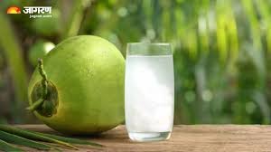 नारियल (Coconut)