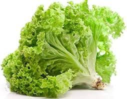 Salad Patti – Lettuce